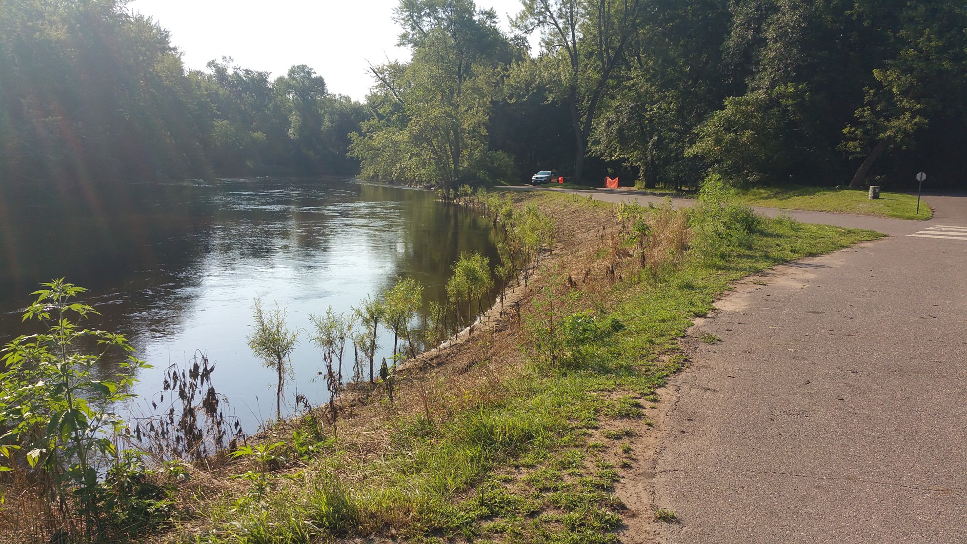 Completed project pictured in summer 2016 showing the hardarmored central portion of the project site with some of the vegetation installed.